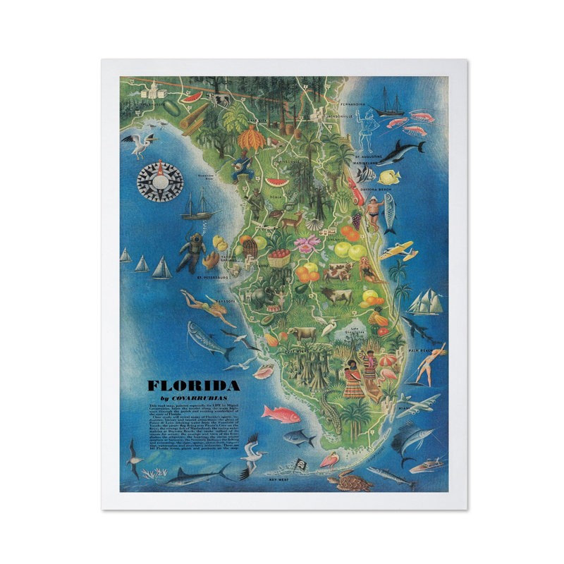 Carte de l'État de la Floride, Affiche, Encadrement blanc, H 11 po x l 14 po