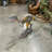 Small Australovenator Dinosaur Life Size Statue