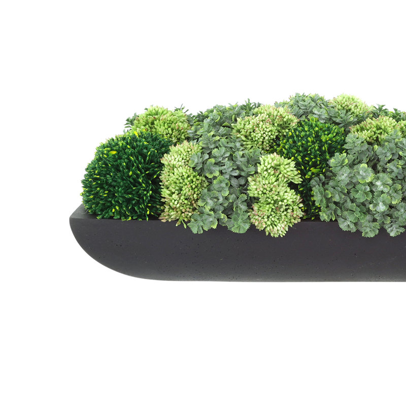 Jerez Faux Succulent in Fiberstone Planter, Black