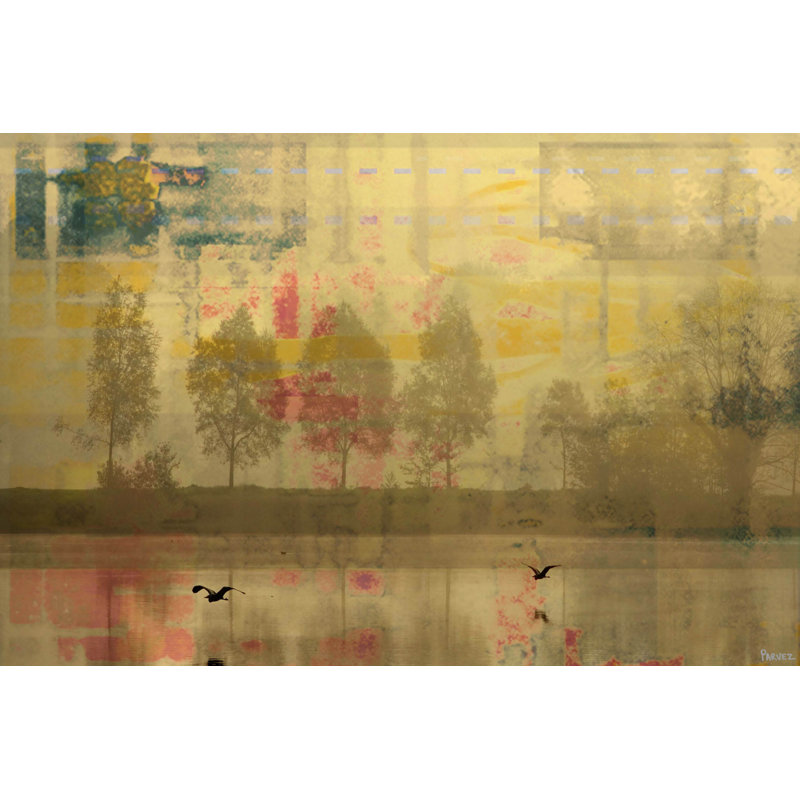 Parvez Taj - Wrapped Canvas Print, 51cm H x 76cm W