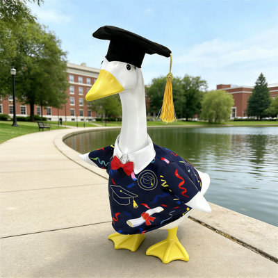 2026 Graduation Gown And Cap Costumes Set For 23in Giantes Gooses Perfects Graduation Gooses Outfit
