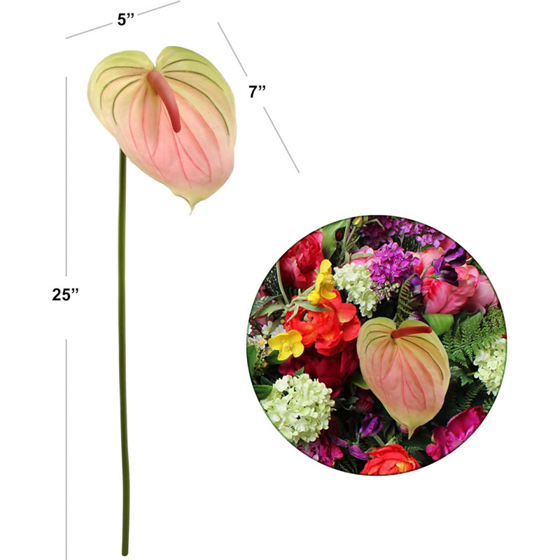 Anthuriums