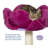 Borrego 28.375'' H Cat Tree