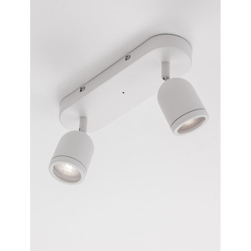 Delidle Spotlight