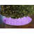 Lavande