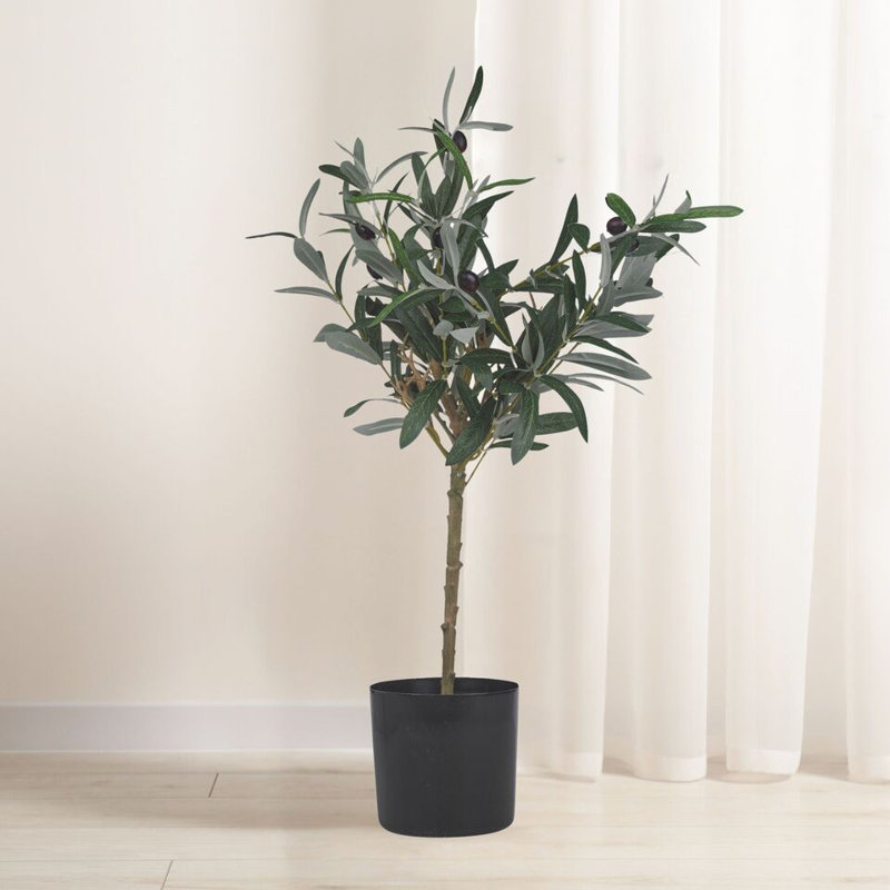 Anarely Pot Planter