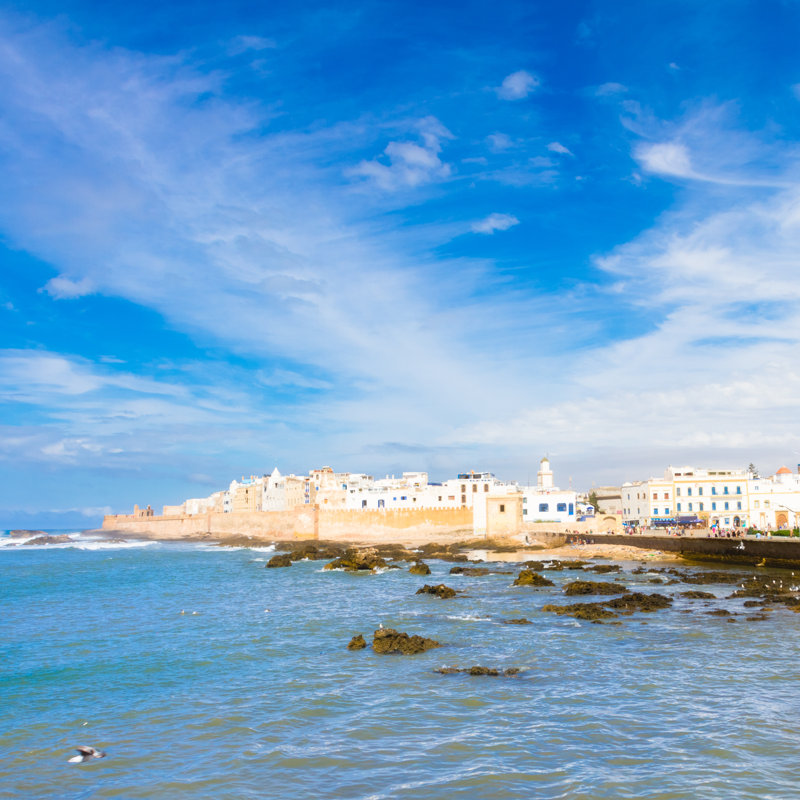 Harrod Seagull Essaouira by Kasto80 - Wrapped Canvas Print, 30cm H x 30cm W x 3.8cm D
