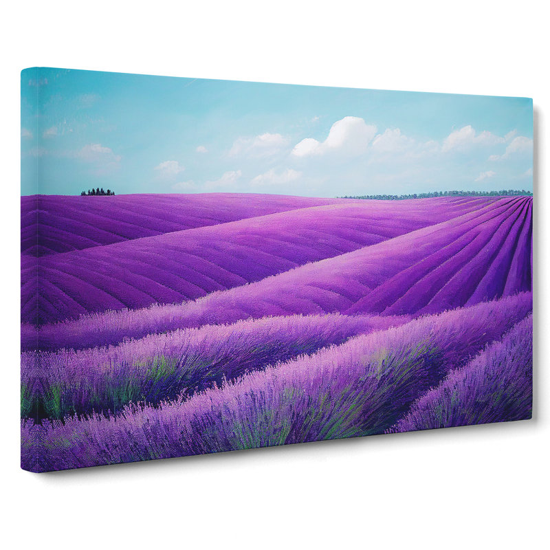 Adventurous Lavender Flower Field - Wrapped Canvas, 40cm H x 60cm W x 3cm D