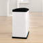 Bloomingburg Steel Step On Multi-Compartments Trash & Recycling Bin - 15.85 Gallons