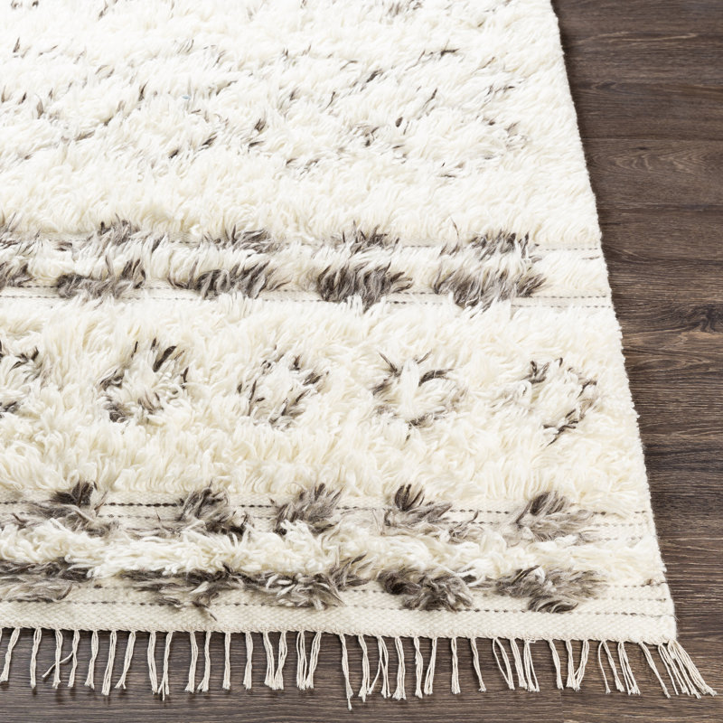 Mayra Wool Southwestern Indoor Rug, Rectangle 2' x 3'