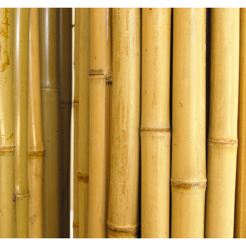 Natural Bamboo Fencing Decorative Privacy Screen No Dig Fence Panel, 72" H x 96" W x 1" D