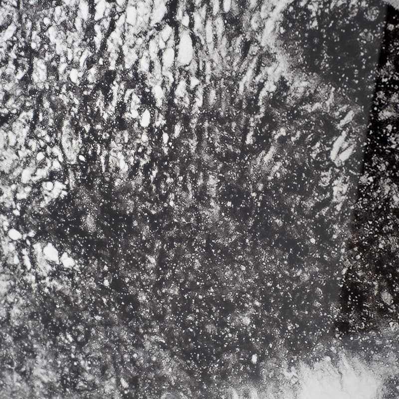 In The Storm by WINK GAINES a Hand Embelished Textured Framed Art Photograph Matted under Glass