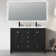 Wimer 48" Double Bathroom Vanity Base Only, Sink Top not Included, Assembly Required