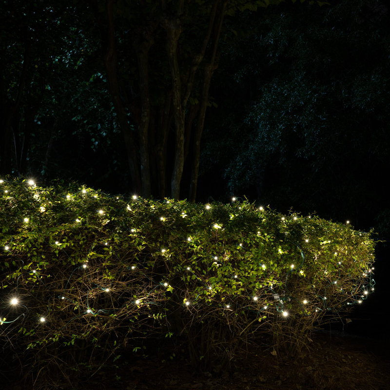 SoftTwinkle LED 70 Light Net Lights, Warm White