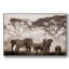 Amboseli National Park, reproduction d'art sur toile-94360386-94360385