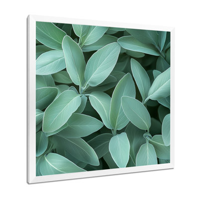 Feuilles de sauge - feuilles, art mural
