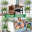 Support pour plante Reisterstown