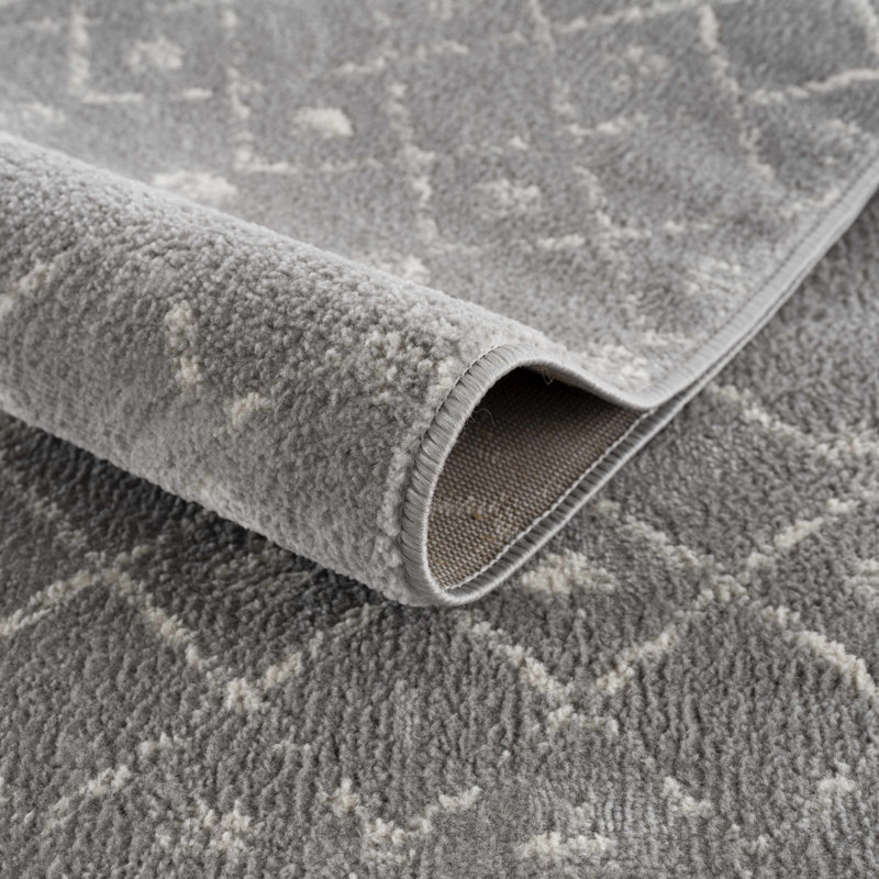 Tapis gris Dounia, Rectangle 3 pi 11 po x 5 pi 7 po, Gris clair