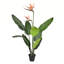 Faux Plant in Pot-1024463529