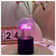 Portab LED text lamp cordless table lamp battery powered color text lamp 