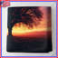 Couvre-lit matelassé Lone Tree Sunset Landscape-126174760