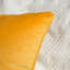 Housse de coussin en velours uni-364090994-344661269
