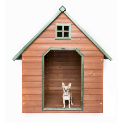 Niche pour chien Pinckard