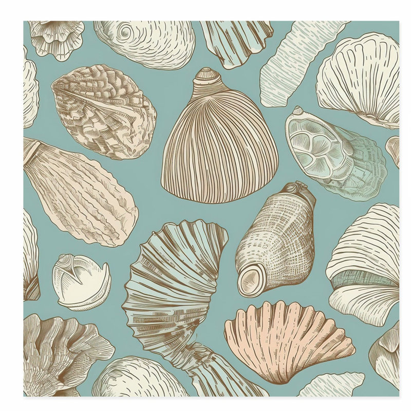 «Beach and Coastal Seashells I», reproduction d'art sans cadre, H 24 po x l 24 po