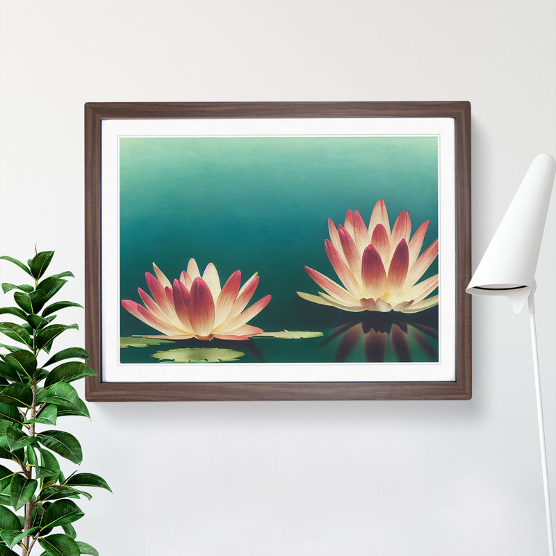 Sensational Water Lily Flowers - Single Picture Frame Print, 34cm H x 46cm W x 2cm D, Walnut 