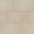 Elegant Beige