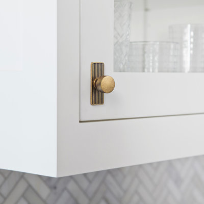 1.1'' Diameter Circle Knob With Backplate
