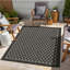Tapis intérieur / extérieur 2 pi 7 po x 7 pi 3 po Sunshine Anthracite