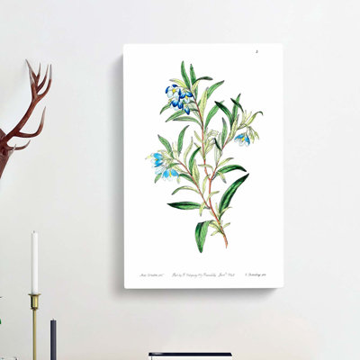 Bluebell Flowers - Wrapped Canvas Painting