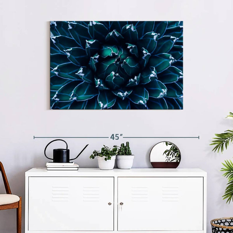 Agave Harnek