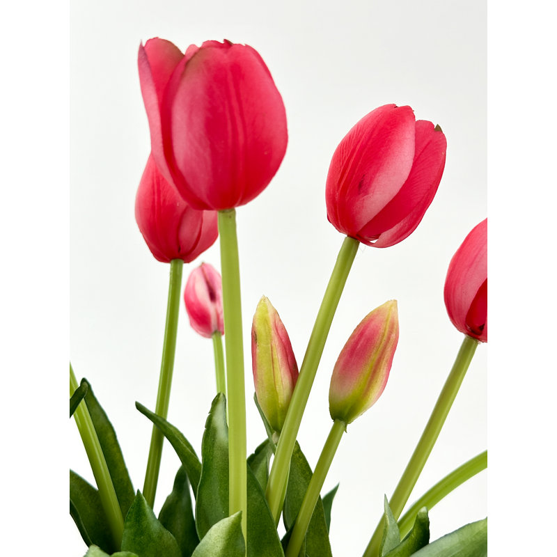 5 vraies tulipes artificielles, Rose millennial