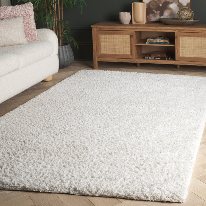 Tapis à poils longs tissé à la main Detweiler, Rectangle 5 pi x 8 pi