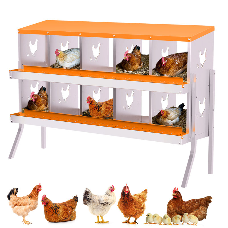Heavy Duty Chicken Nesting Box with Ventilation - 10 Compartments, Ergonomic Laying Box for Hens, Ducks, Small Poultry, Durable Orange Coop Accessory