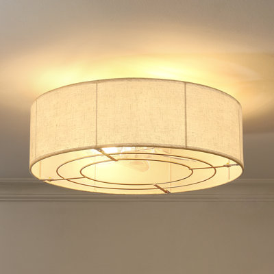 Modern 20-Inch Ceiling Fan With Light