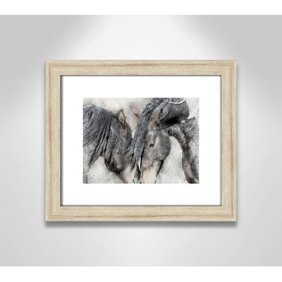 Equine Friendship " Equine Friendship "