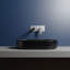 Mood 23.3 in. L Bathroom Sink-242812066