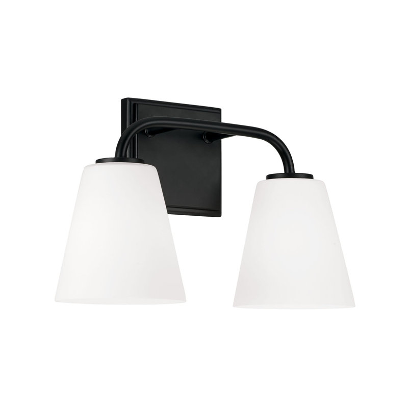 Matte Black and White Frosted Glass 2-Light Vanity Fixture