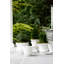 Rustic Garden Handmade Planter
