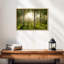 Birch Forest Sunlight-1269280478-1269280448