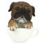 Figurine chiot puppuccino