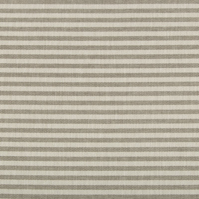 Terra Firma II Rayas Stripe Fabric
