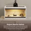 Petit terrarium Deneishia-52916582-123293283