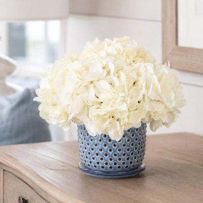 Hydrangeas in Ceramic Pot
