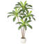 Plant-412834850