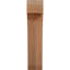 Attelle de genou Legacy-64784797-64751483