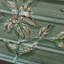 Commode décorative rétro en bois patiné vert